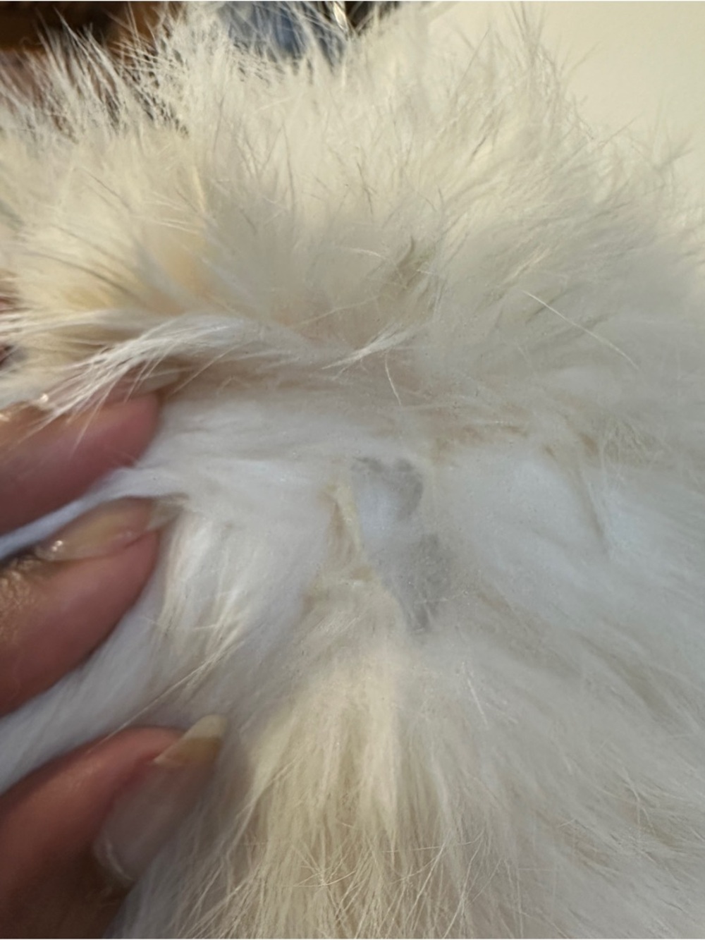 Vintage Rabbit Fur Coat - Picture 4 of 7